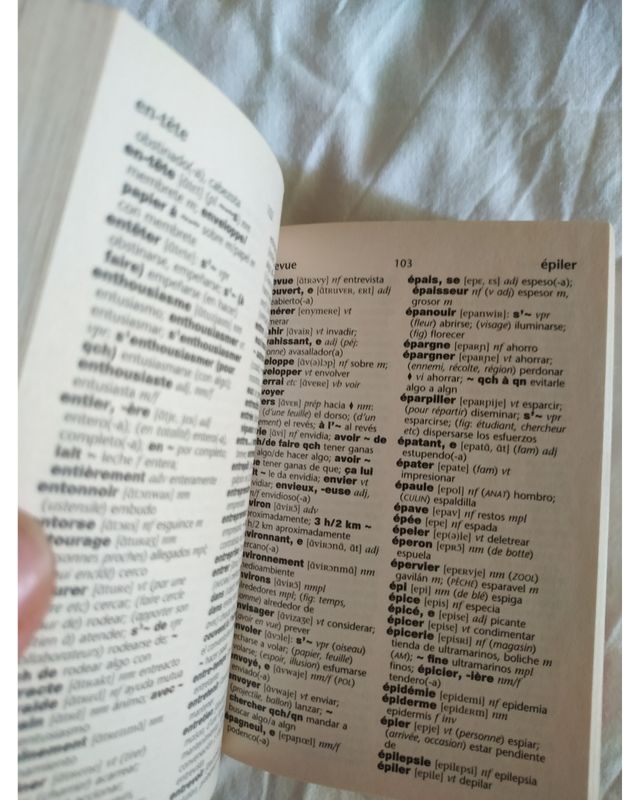 Diccionario Francés - Español