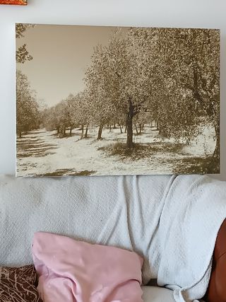 Quadro Uliveto Seppia 50x70cm