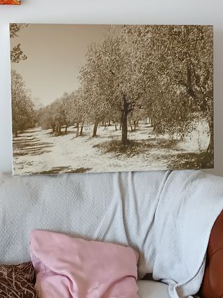 Quadro Uliveto Seppia 50x70cm