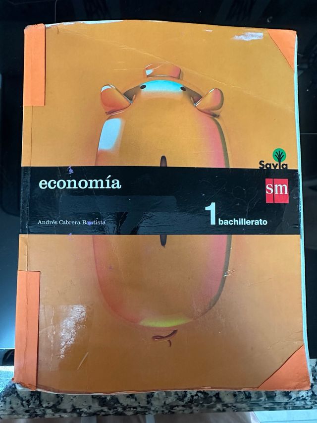 Economía. 1 Bachillerato. Savia (Spanish Edition)