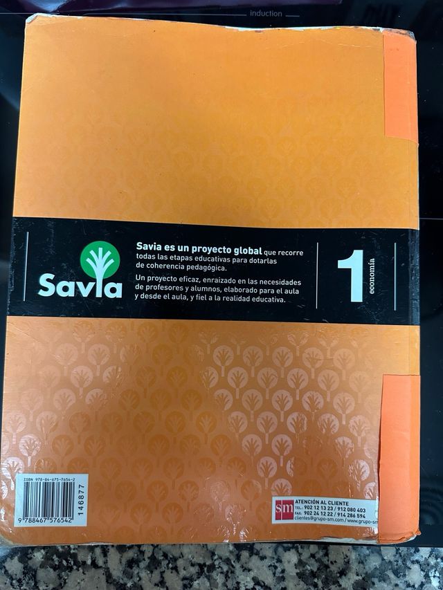 Economía. 1 Bachillerato. Savia (Spanish Edition)