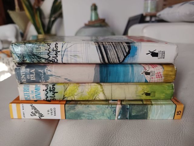 Lote de libros literatura infantil.