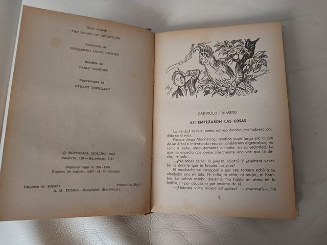 Lote de libros literatura infantil.