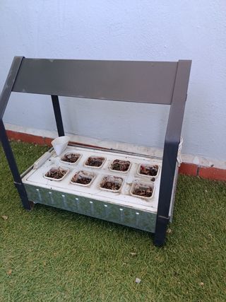 Semillero con 8 alveolos