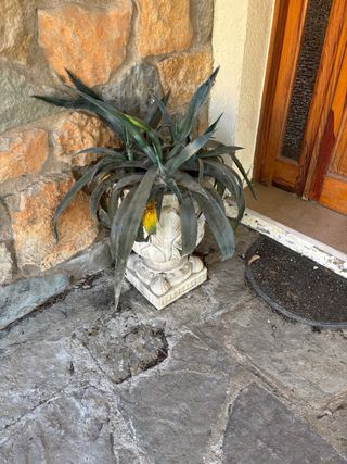 2 jardineras piedra - beige