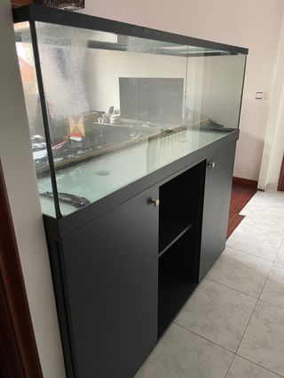 Acuario 150x40cm + filtro Marina 200