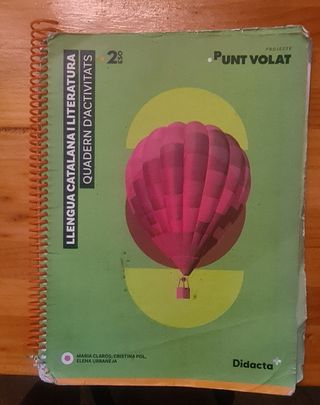 Punt volat 2. Quadern d'activitats