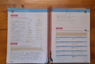 Punt volat 2. Quadern d'activitats