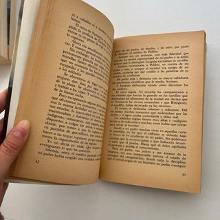 Libro "Las Ruinas de Numancia"