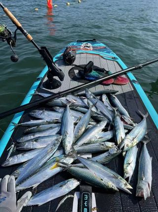Tabla de paddle tabla de surf, pesca  también kaya