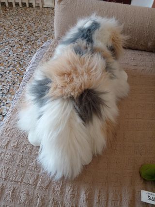 Peluche gatto persiano