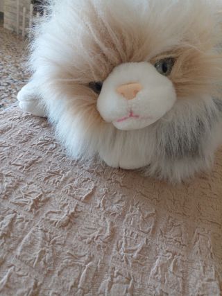 Peluche gatto persiano