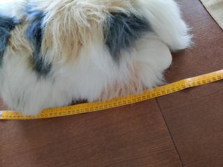 Peluche gatto persiano