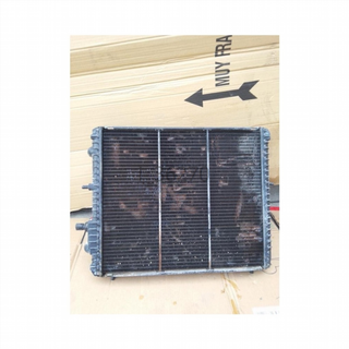Radiador agua Renault Clio I (1990-1998) 1