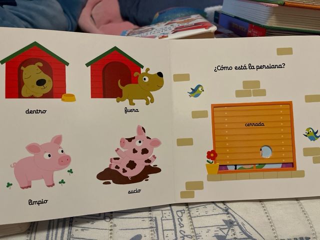 ¿De quién son estas rayas? (¿De quién es...?) (...