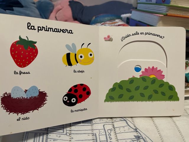 ¿De quién son estas rayas? (¿De quién es...?) (...