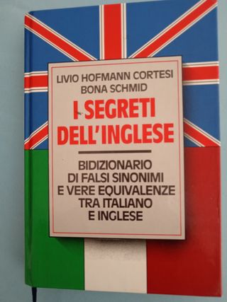 I SEGRETI DELL'INGLESE - Bidizionario