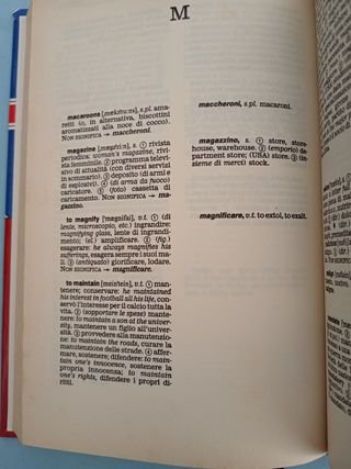 I SEGRETI DELL'INGLESE - Bidizionario