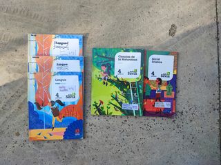 Libros de 4 primaria