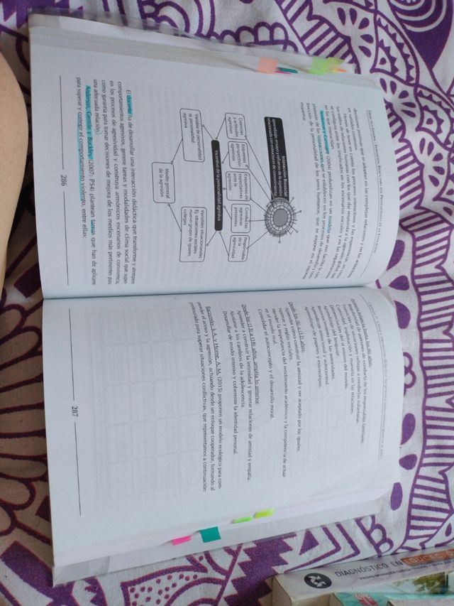 DIDÁCTICA: Formación básica para profesionales ...