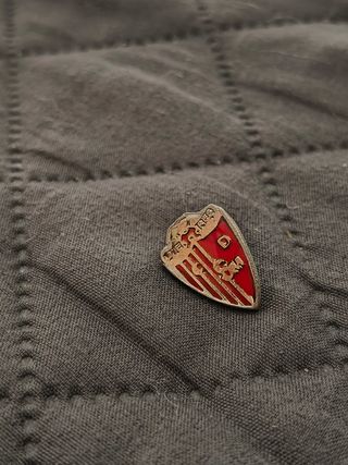 Pin escudo