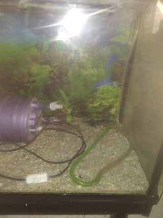 Acuario grande - Pecera 2m x 1metro alto mesita