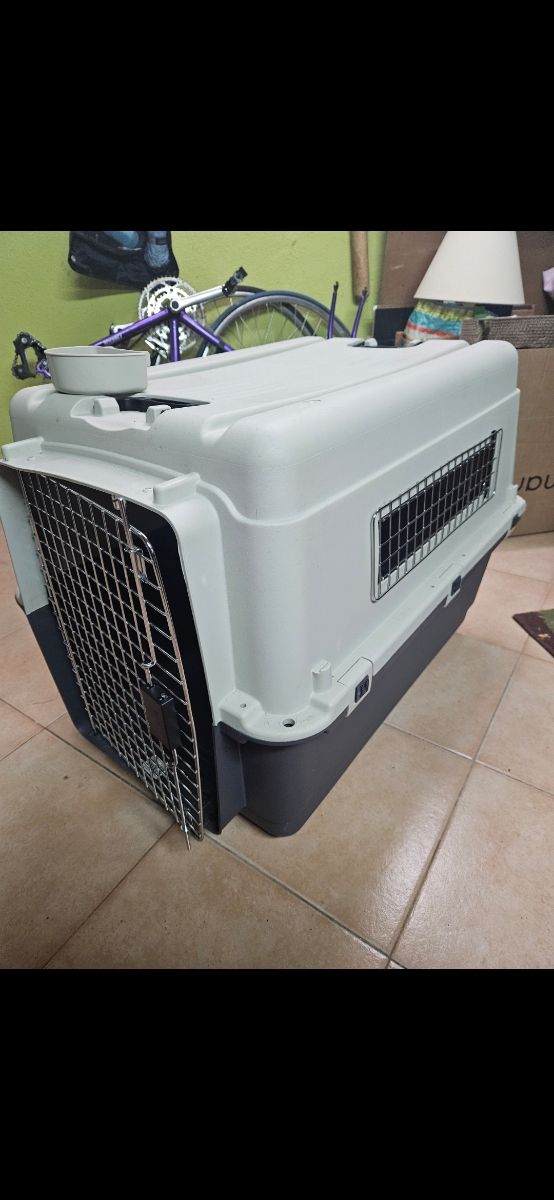 Transportín Animales - Beige/Gris