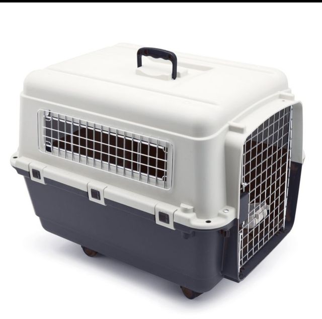 Transportín Animales - Beige/Gris