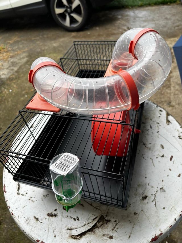 Jaula Hamster con Túnel