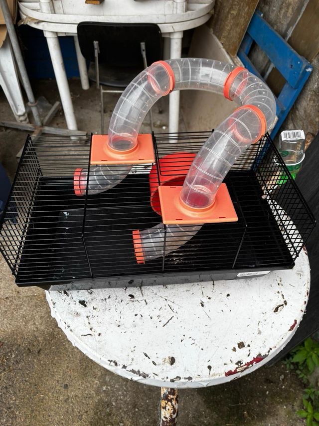 Jaula Hamster con Túnel