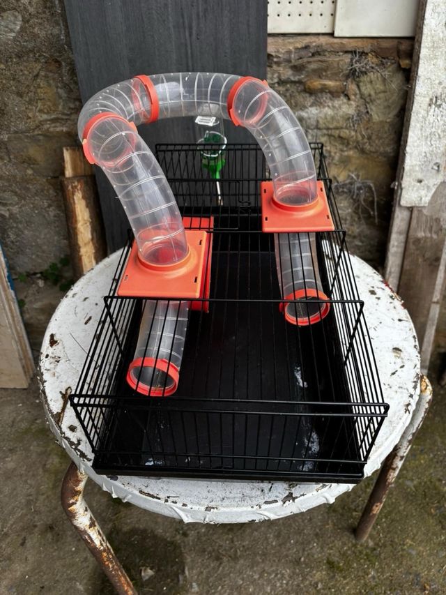 Jaula Hamster con Túnel