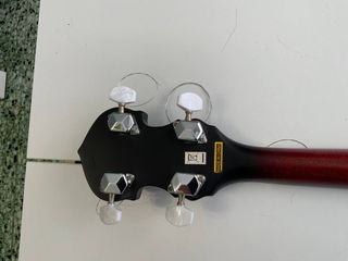 Banjo Washburn 5 cuerdas.