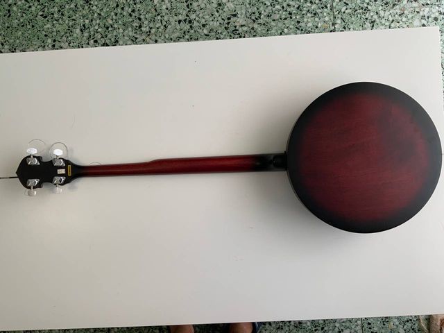 Banjo Washburn 5 cuerdas