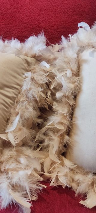 2 Cojines beige plumas - Decoración