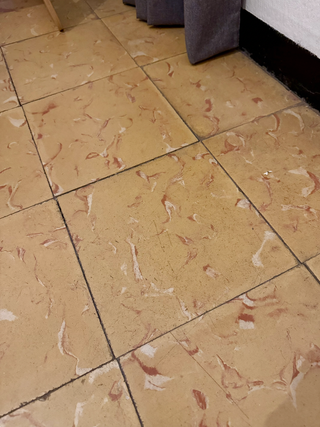 50m2 Baldosas Hidraulicas Antiguas