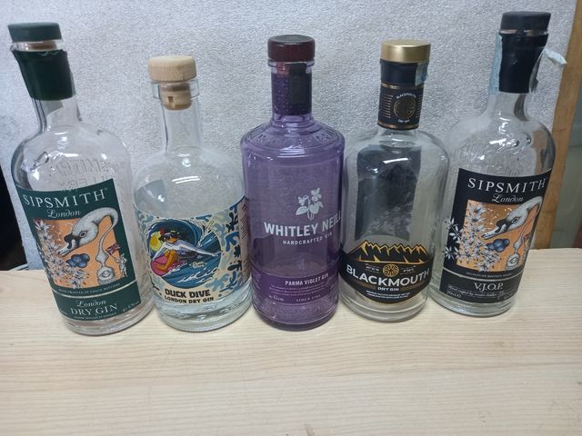 Bottiglie Gin Vuote
