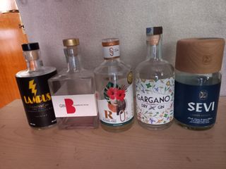  Bottiglie Gin Vuote