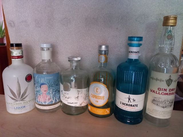 Bottiglie Gin Vuote
