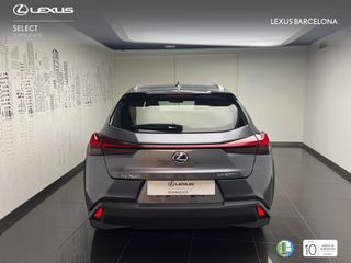Lexus UX250h BUSINESS 2021 REF 5628