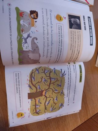 Proyecto: FanFest. Música y danza 1