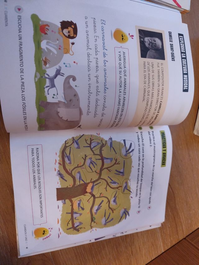 Proyecto: FanFest. Música y danza 1