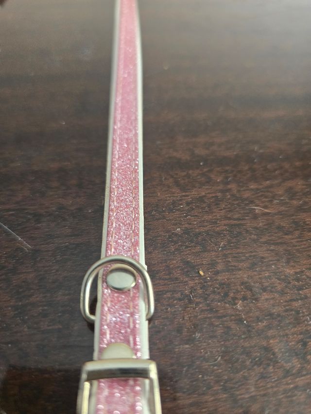 Collar y correa rosa conjunto o separado