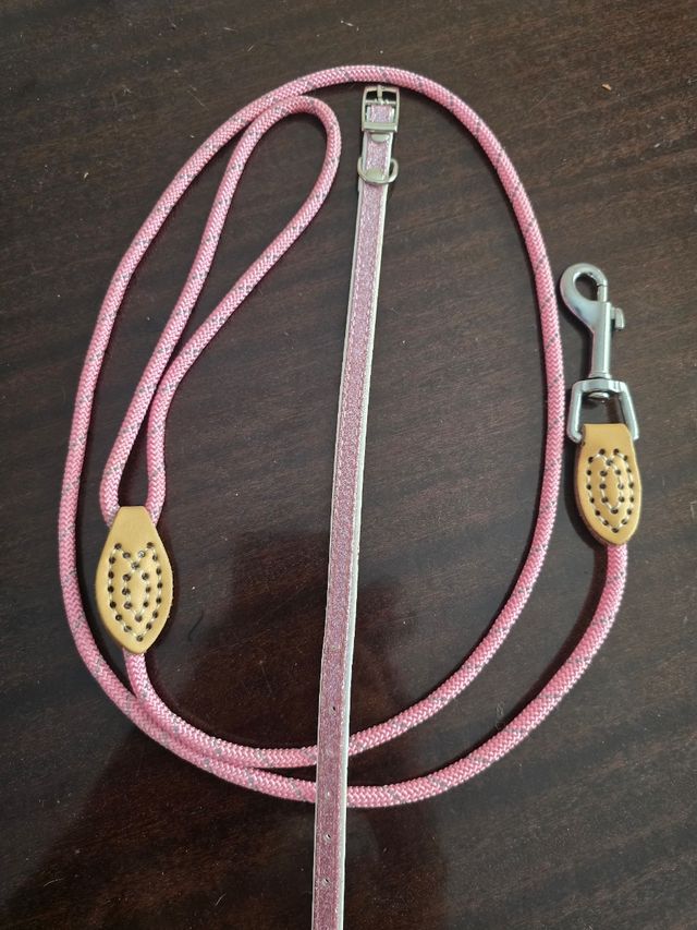 Collar y correa rosa conjunto o separado