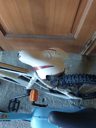 Bicicletas infantiles (2)