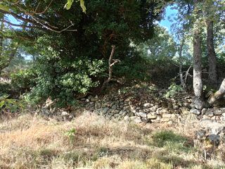 Finca rústica con casa - 2200m2