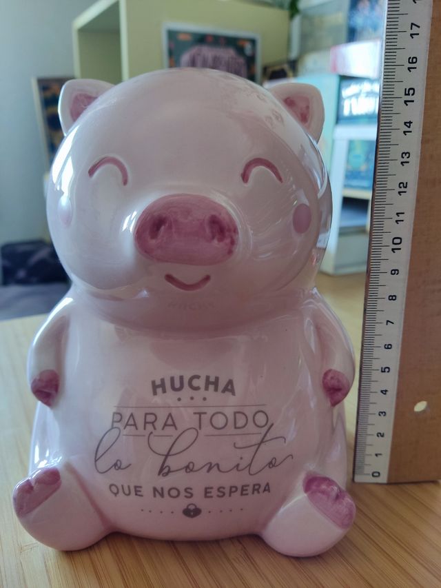 Hucha Cerdito Mr. Wonderful