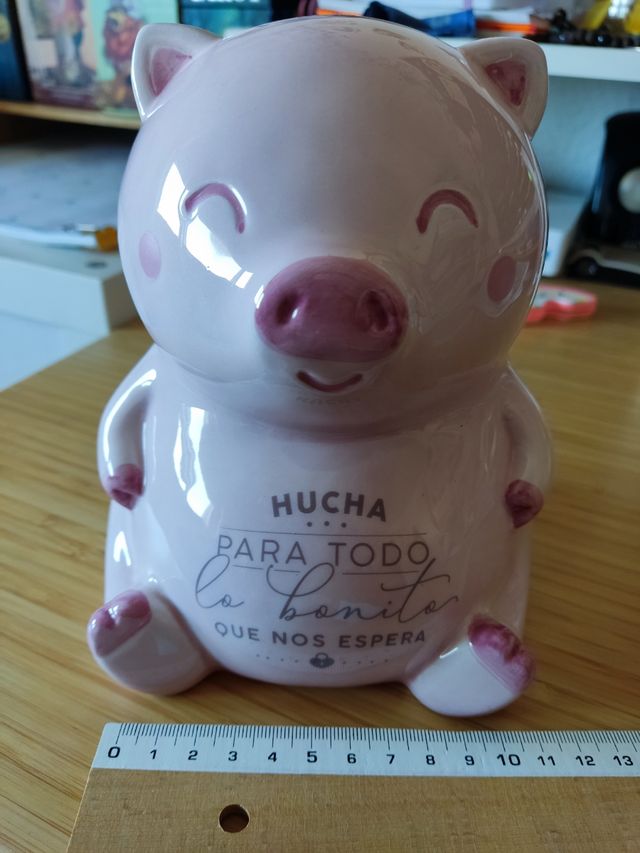 Hucha Cerdito Mr. Wonderful