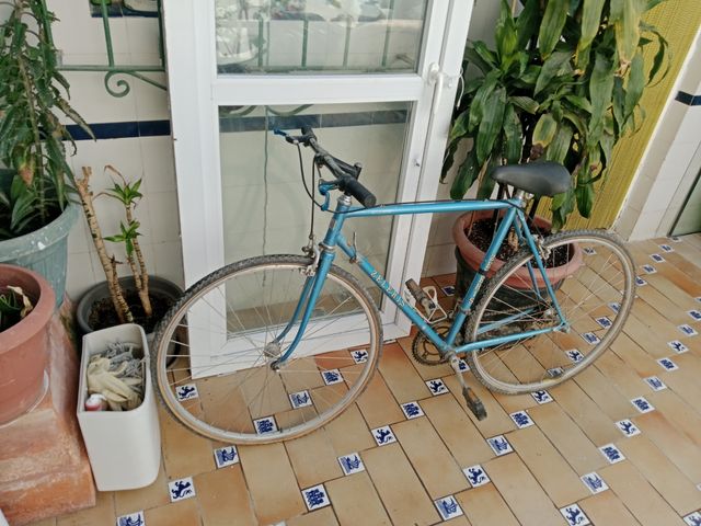 Bicicleta Zeleris clásica azul