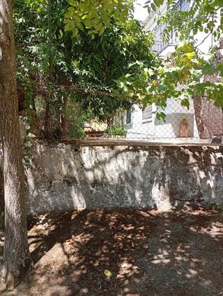 Parcela en sierra Santa Bárbara