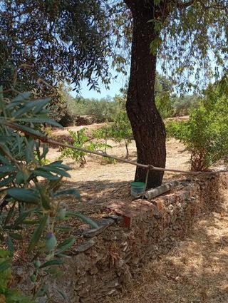 Parcela en sierra Santa Bárbara